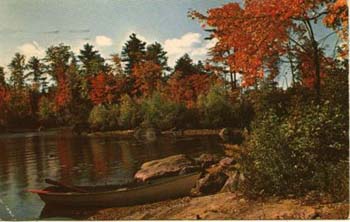 lake501
