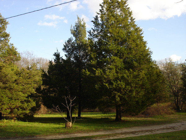2wsc short driveway 300'